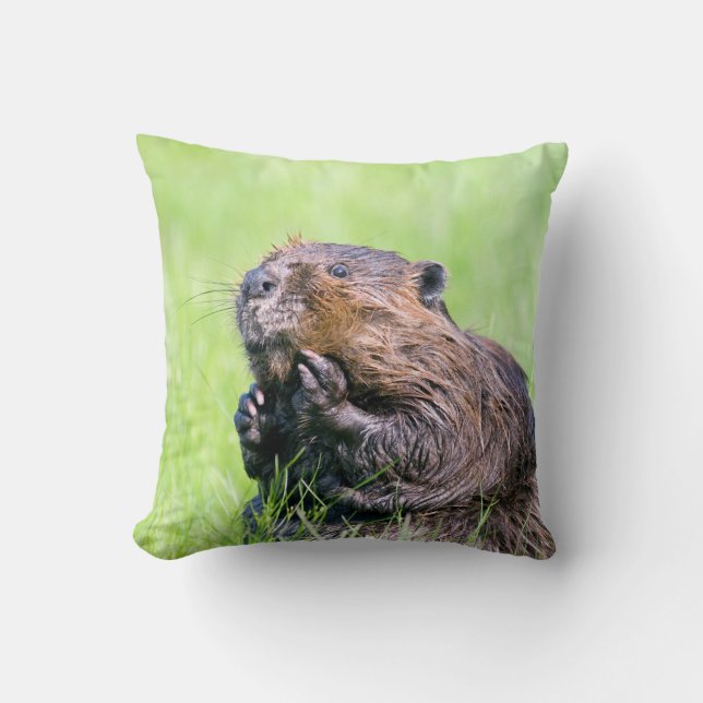 Wet Beaver Throw Pillow (Front)