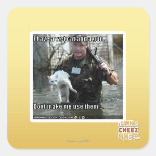 Wet cat and gun square sticker