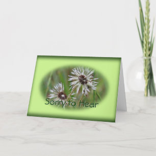 Wet Dandelion Inspirational card - or any occasion