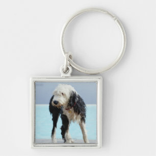 Wet Dog By a Swimming Pool Keychain