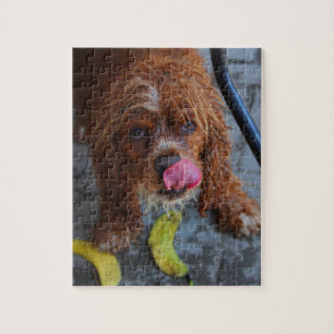 Wet Dog with a Banana Jigsaw Puzzle