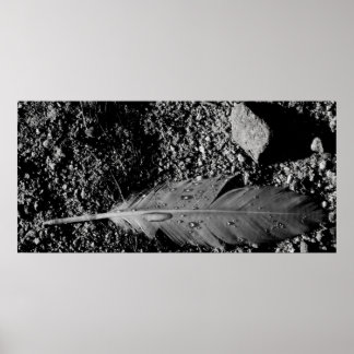Wet feather poster