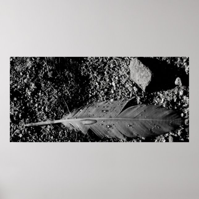Wet feather poster (Front)