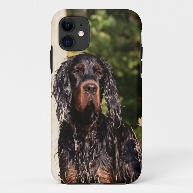 Wet Gordon Setter iPhone 5 Case (Back)