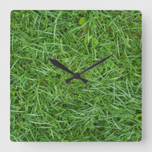 wet green grass square wall clock