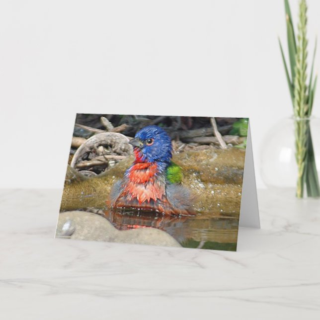 Wet Paint Card (Front)