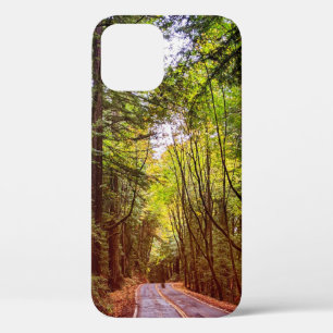 Wet Road Through Green Trees in Humboldt Autumn iPhone 12 Pro Case