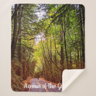 Wet Road Through Green Trees in Humboldt Autumn Sherpa Blanket