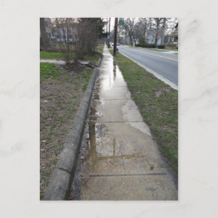 Wet Sidewalk Postcard