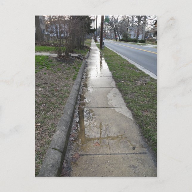 Wet Sidewalk Postcard (Front)
