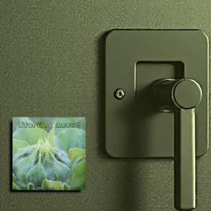 Wet Sunflower Bud Close Up Photograph Magnet