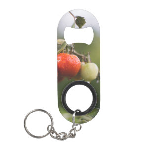 wet tomatoes on the vine keychain bottle opener