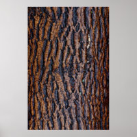 Wet tree bark