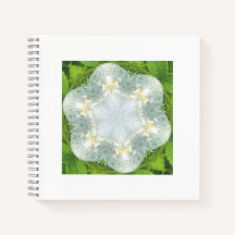 Wet White Wild Rose - Mandala green - by ID AD Art