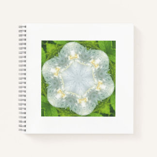 Wet White Wild Rose - Mandala green - by ID AD Art Notebook