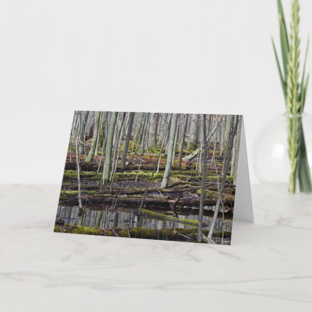 Wet Woodlands 7 x 5 Carte de voeux pliée - blanc (Devant)