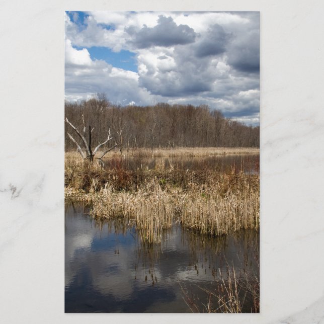 Wetland Cloudscape (Front)