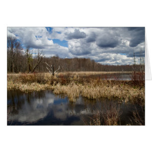 Wetland Cloudscape