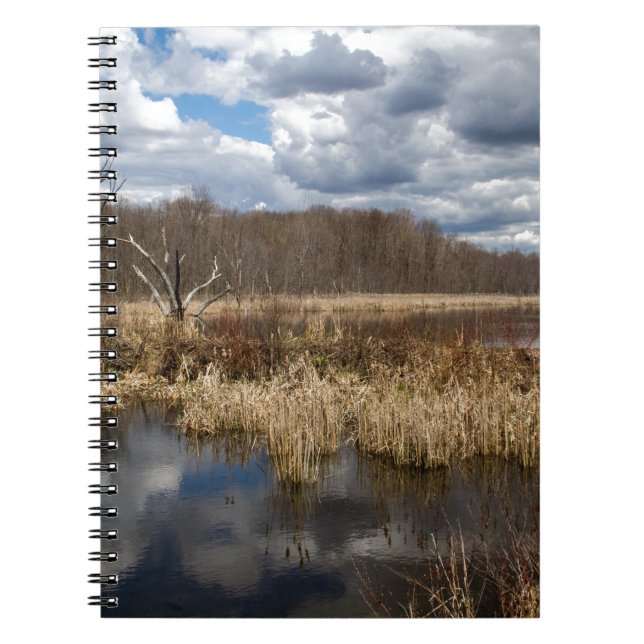 Wetland Cloudscape Notebook (Front)