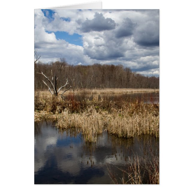 Wetland Cloudscape Vertical (Front)