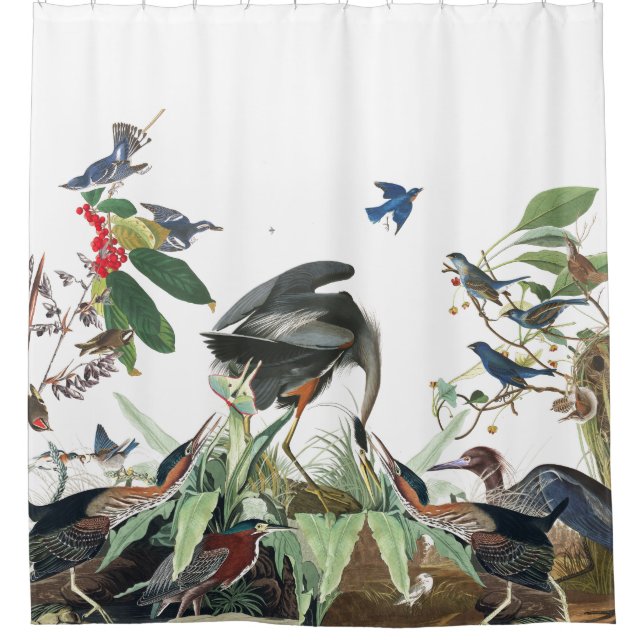 Wetland Collage Birds Audubon Shower Curtain (Front)
