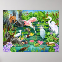 Wetland Wonders