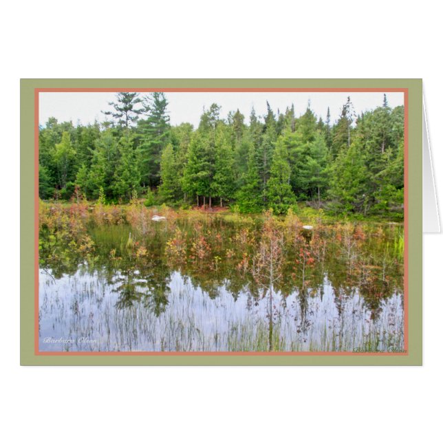 Wetlands (Front Horizontal)