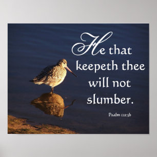 Wetlands Godwit Bird God Will Keep You Print