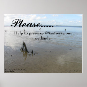 Wetlands poster