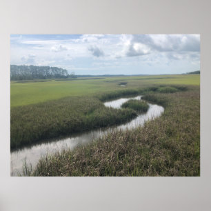 Wetlands Tolomato River Poster de photographie de 