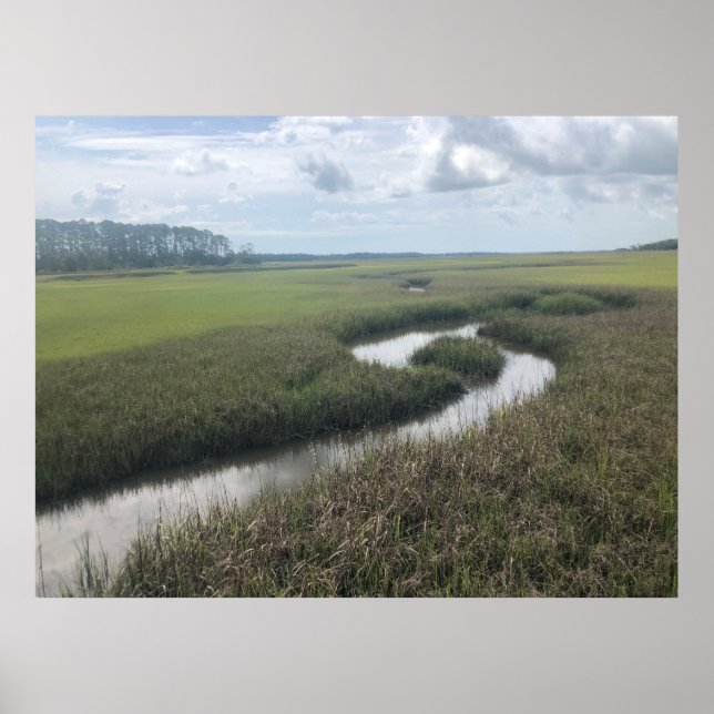 Wetlands Tolomato River Poster de photographie de  (Devant)