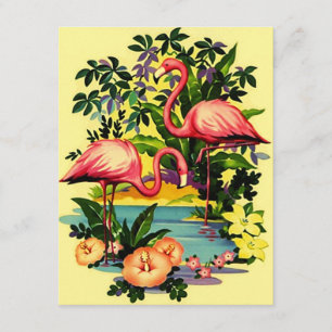 We've I've Moved Announcement Flamingos Pool-side