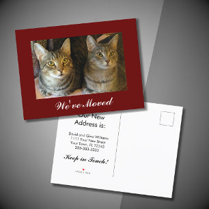 We've moved Cats Photo Red Moving New Address Announcement Postcard
