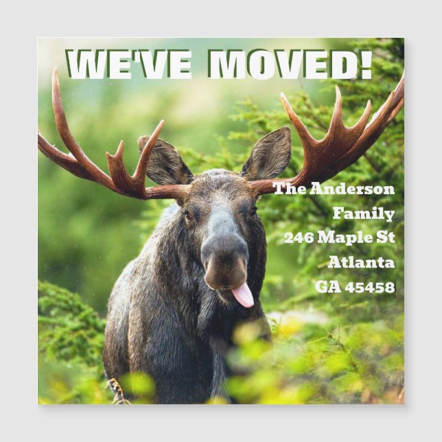 We've Moved | Colourful Moose Moving Announcement (Front)