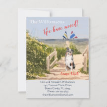 We've Moved Dog Ocean Beach 