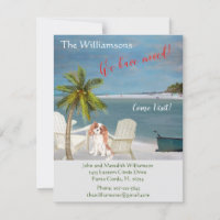 We've Moved Dog Ocean Beach Move     