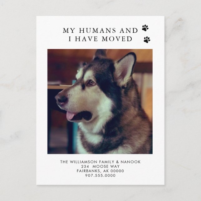 We've Moved Dog Photo New Address Dog Moving  Announcement Postcard (Front)