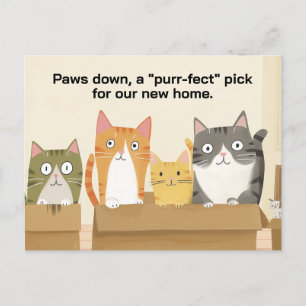 We've Moved Funny Cats New Home Announcement Postcard