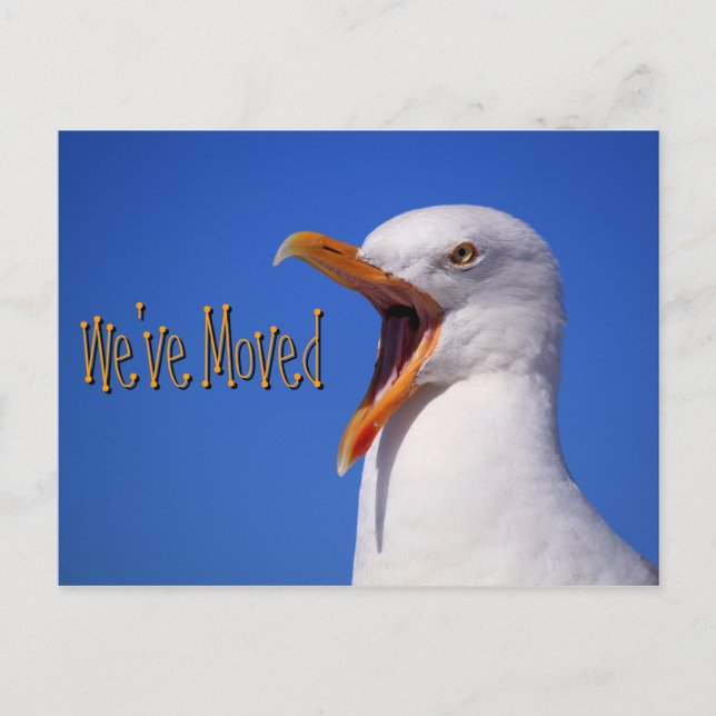 We've Moved Funny Seagull Joke Postcard (Front)