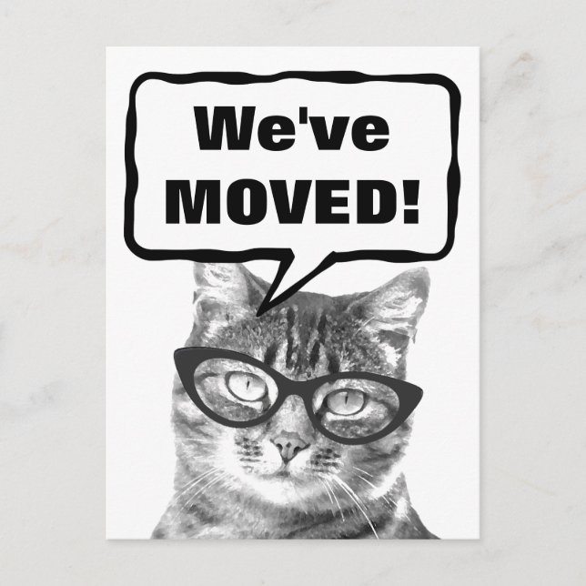 We've moved moving postcards with funny cat (Front)