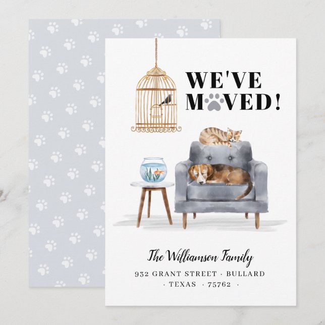 We've Moved New Home Dog & Cat Sleeping Grey Sofa Announcement (Front/Back)
