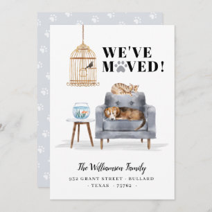 We've Moved New Home Dog & Cat Sleeping Grey Sofa Announcement