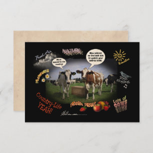 We've moved to the Country (custom.) Announcement