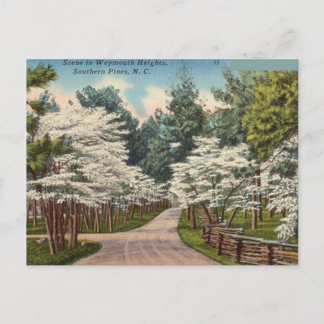 Weymouth Heights, Southern Pines, North Carolina Postcard (Front)