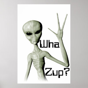 Wha Zup d'alien ? affiche