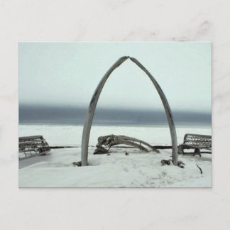 Whale Bone Rib Arc and Skin Boat Frames at Barrow, Postcard