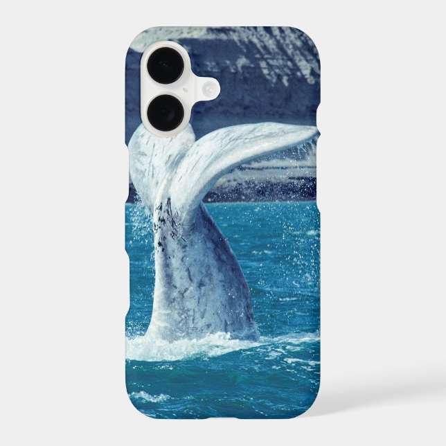 Whale calf tail - Argentina (Back)