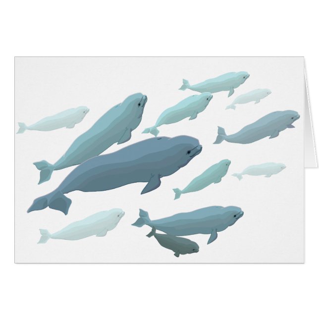 Whale Cards Personalized Beluga Whale Art Cards (Front Horizontal)