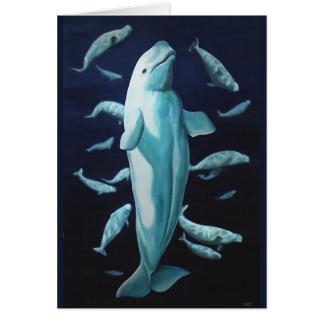 Whale Cards Personalized Beluga Whale Art Cards (Front)