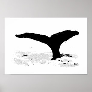 Whale decorative poster